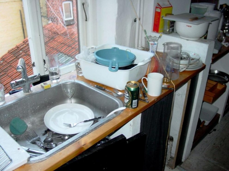 Кухненската мивка е основното място за разпространение на опасни бактерии: