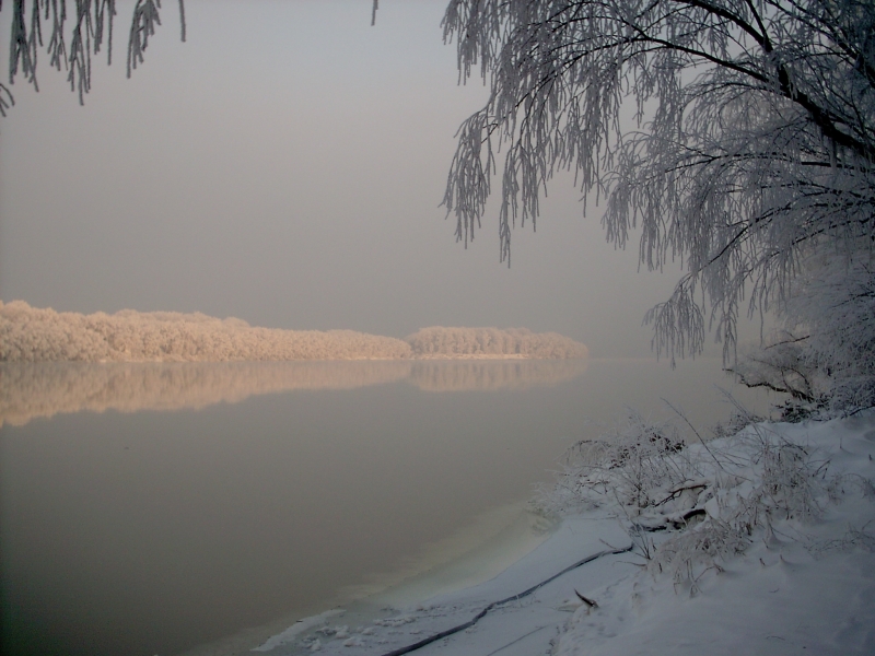 Нивото на Дунав в началото на българския участък на реката