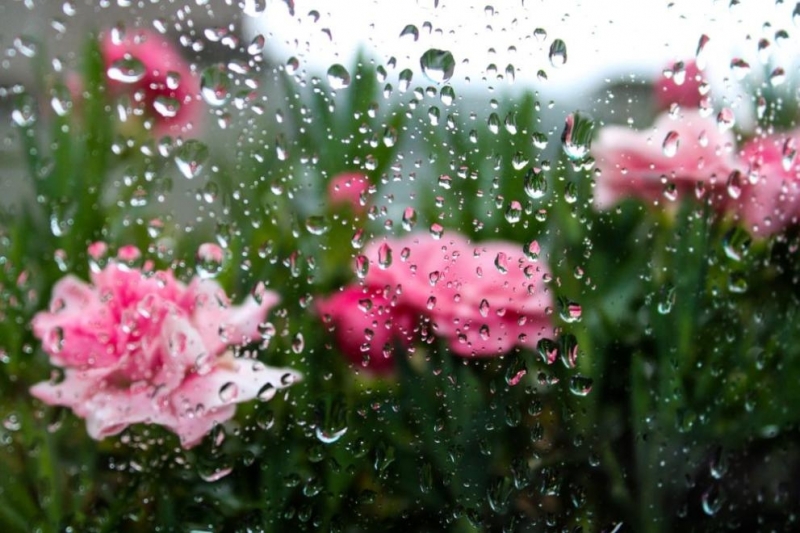 След обяд над по голямата част от страната ще преобладава слънчево