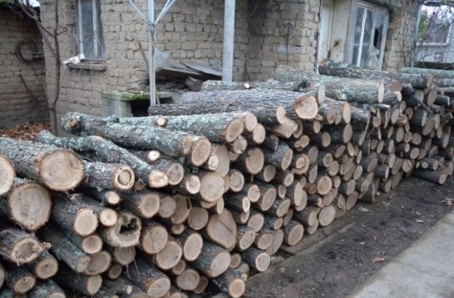 Полицаи и горски са намерили незаконни дърва в къща във