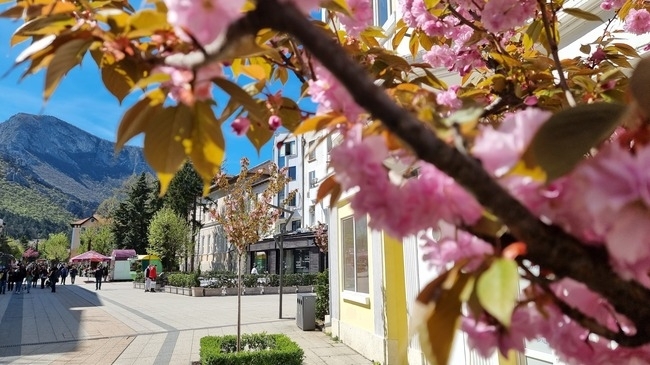 Проектни предложения за близо 30 млн лв по Програма Околна