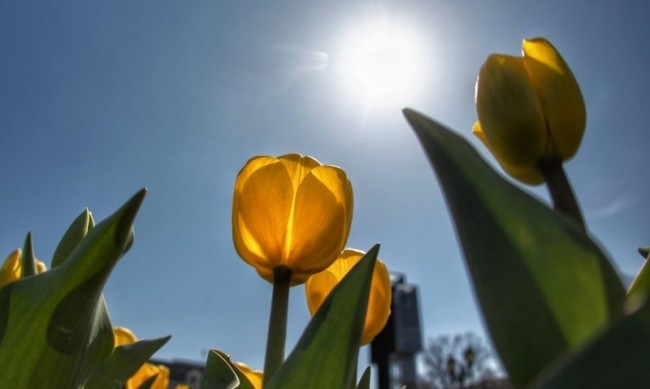 През нощта и утре облачността ще е променлива Само на