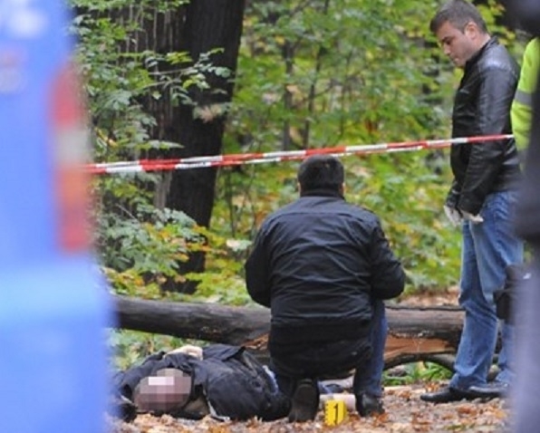 Трагичен инцидент е станал във видинско село след като дърво