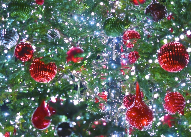 Управителният съвет на Локомотив Мездра поздравява всички футболисти треньори и