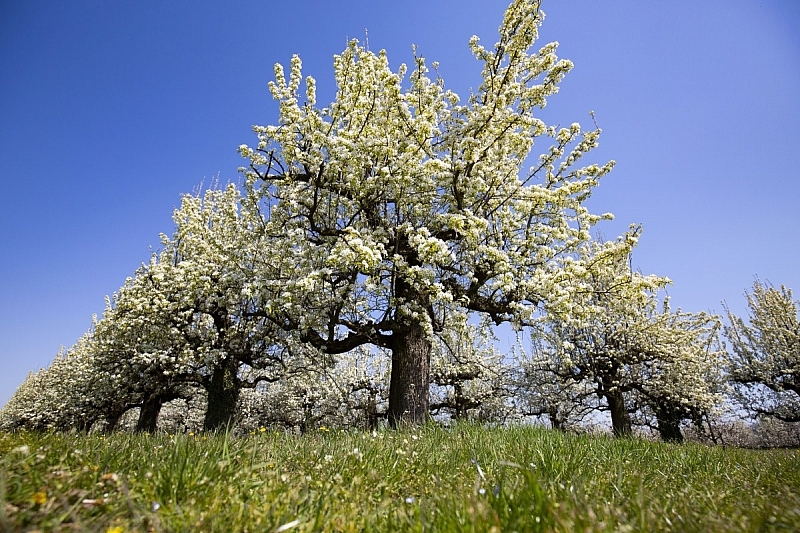 Вижте прогнозата за времето до края на седмицата