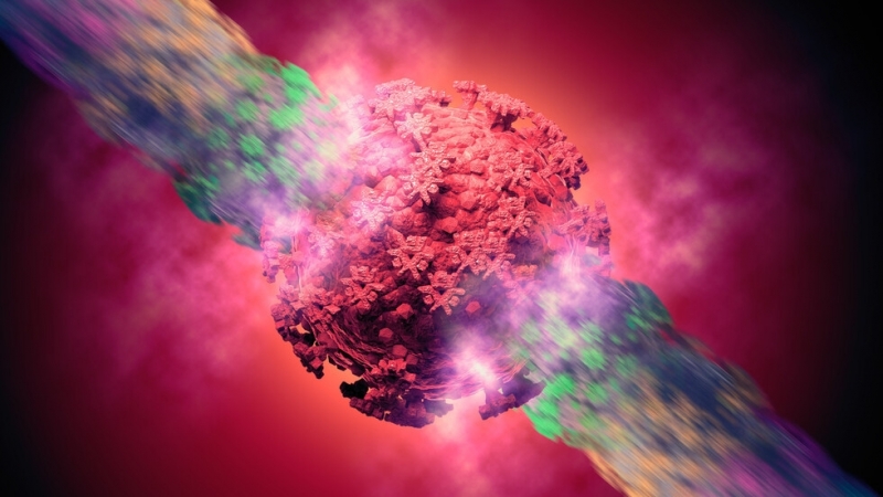 Щамът на коронавируса Омикрон XBB 1 5 който само за няколко седмици