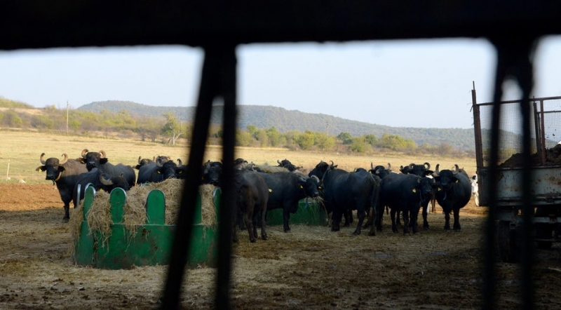 От 8 ноември 2021 г започва приемът на заявления за