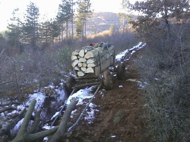 Около 16 часа вчера на ул Княз Борис І в Белоградчик