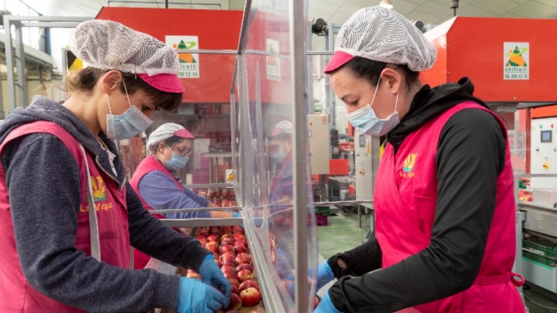 За деветте месеца на 2020 г инспекторите по труда са