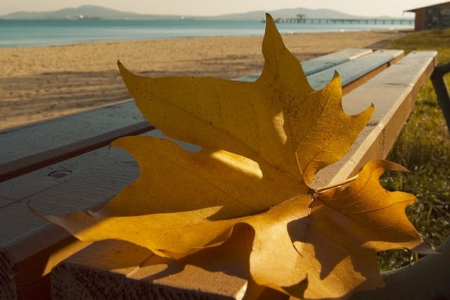 През нощта над по голямата част от страната ще бъде ясно