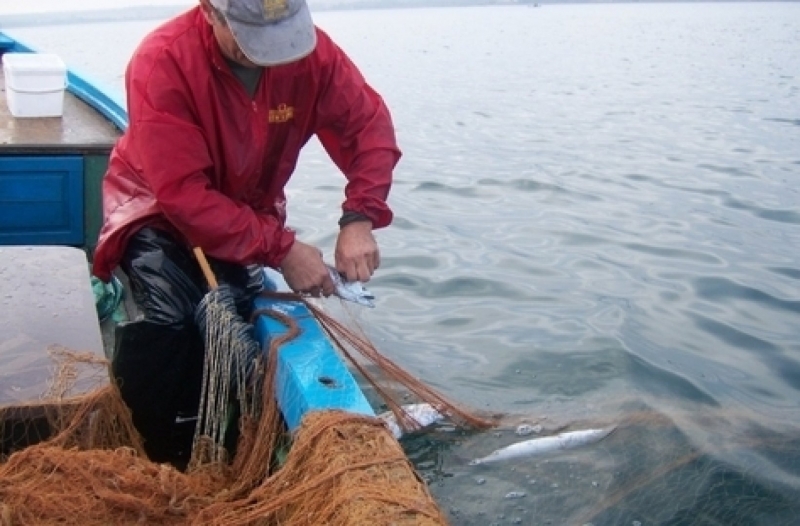 От днес за месец и половина любителите на риболова ще