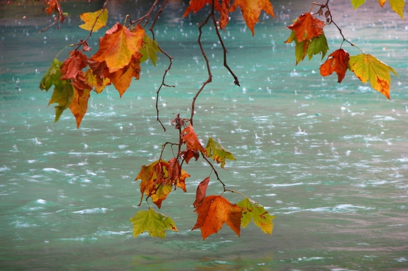 Днес над Западна и Централна България облачността ще е значителна