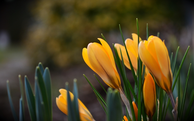 Днес ще бъде предимно слънчево и почти тихо Максималните температури