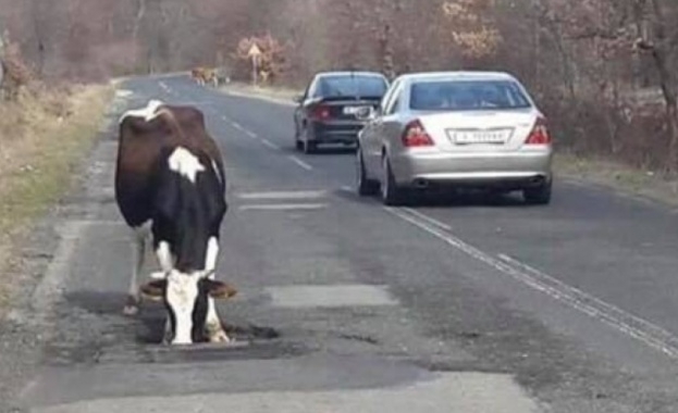 Жители от община Гърмен ще протестират днес срещу лошото състояние