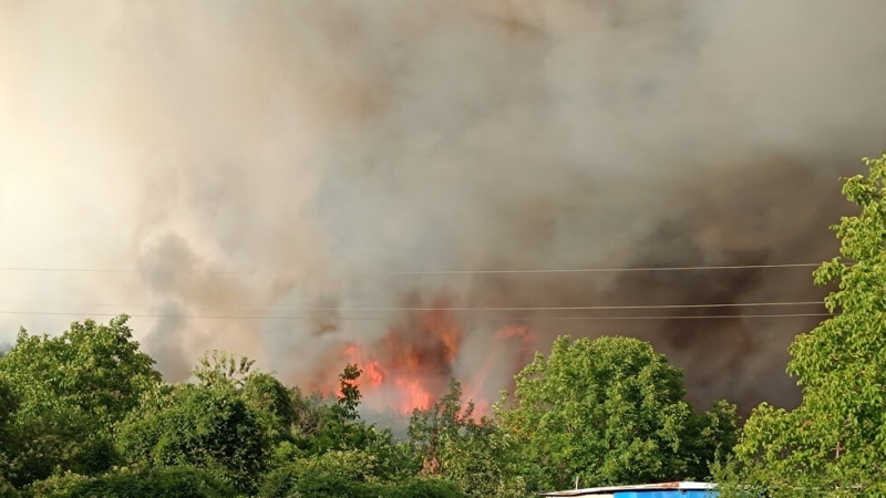 Голям горски пожар бушува край Стрелча Сигналът за огнената стихия