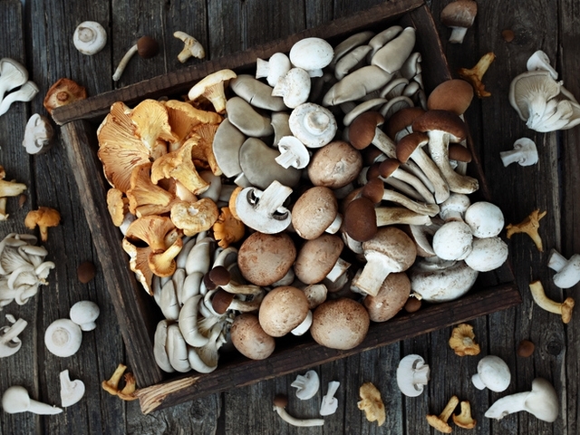 Гъбите са една истинска суперхрана Те не трябва да се