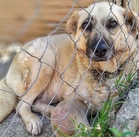 До дни край Враца ще бъде открит първият в района