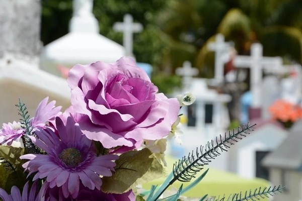 Община Монтана обяви обществена поръчка за разширяване на гробищния парк
