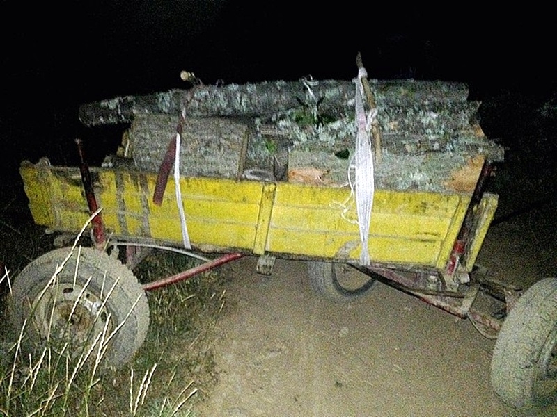 Бракониер с дърва е заловен във Врачанско съобщиха от полицията