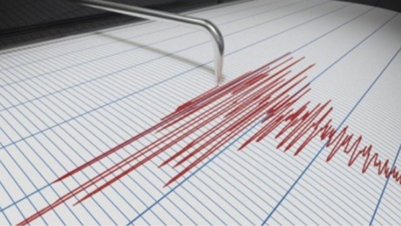Земетресение от 4.8 разтърси Турция