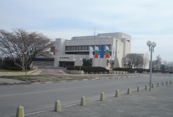 Младеж задигна елементи от декорацията на сградата на Дома на