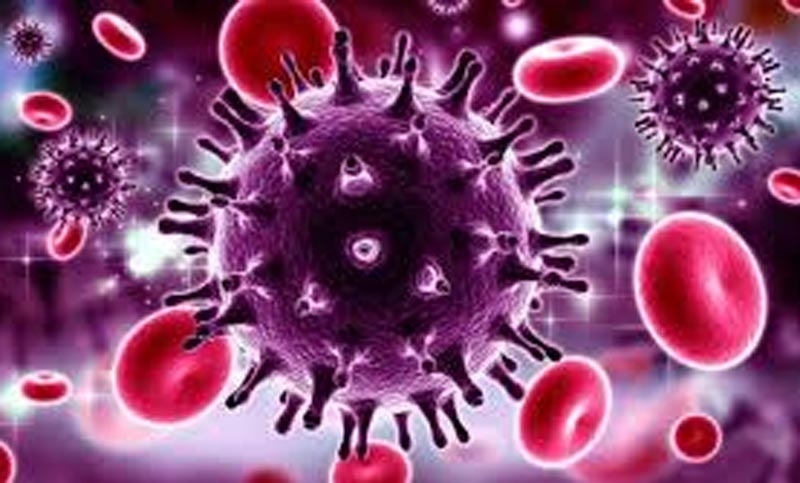 По данни на РЗИ Видин за последното денонощие има