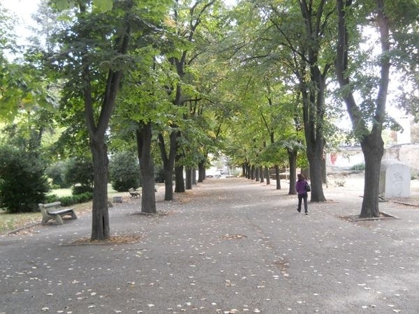 На 10 октомври около 17 30 часа при рутинен обход в