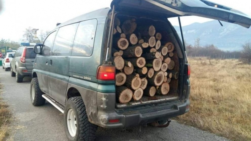 Полицаи са хванали белослатинец да превозва незаконни дърва съобщиха от
