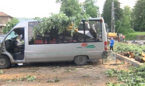 Микробус се преобърна и отсече крайпътно дърво на метри от