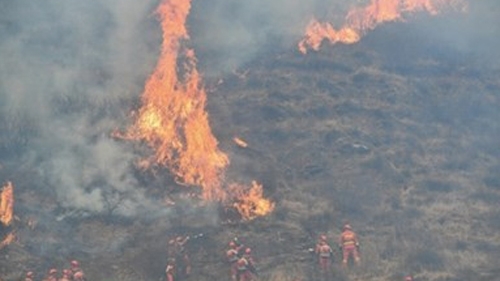 Над 6000 души се включиха в борбата с горския пожар