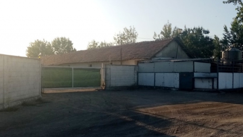 В свинефермата в Новоселци където миналата седмица бе установена африканска чума