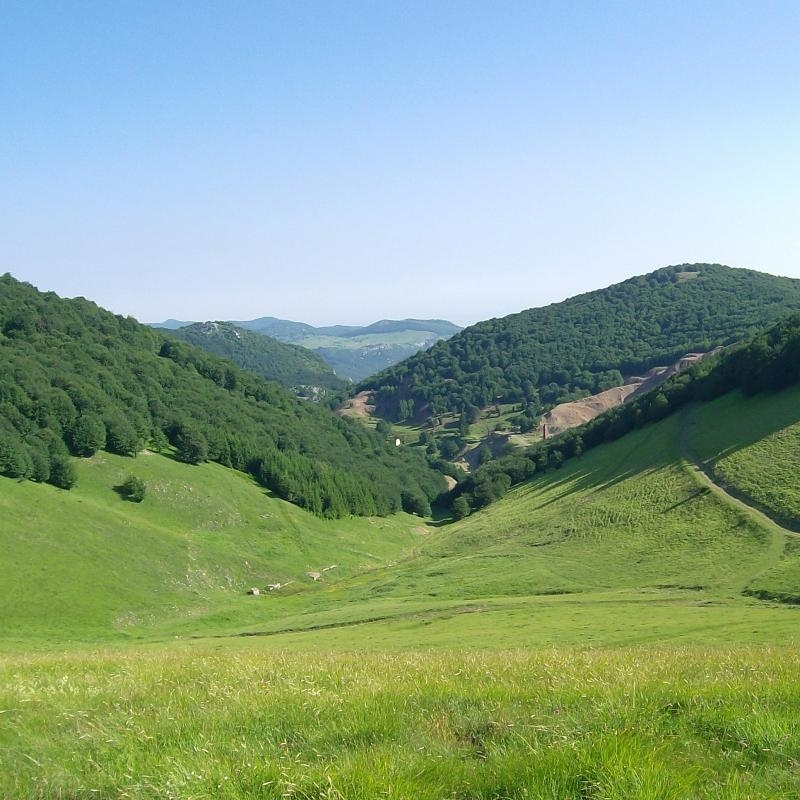 Младежка група Неформални видри и природен парк Врачански Балкан организират