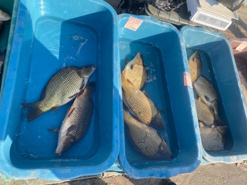 Служители на ИАРА съставиха акт на системен нарушител на закона