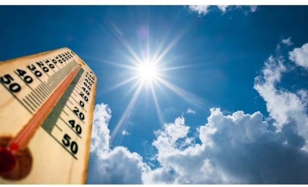 Анализ на университета в Харвард MTI и други институции потвърди