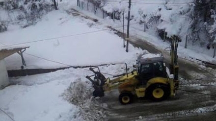 ТИР с дърва е закъсал на пътя към белоградчишкото село