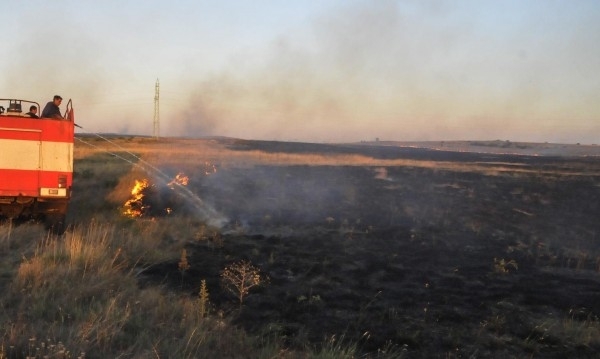 Голям пожар е унищожил 50 дка пшеница във видинското село