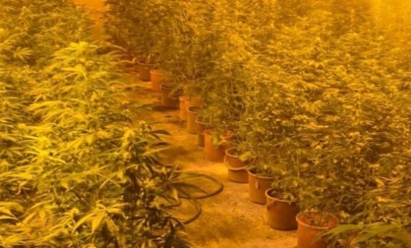 Окръжен съд Монтана одобри споразумение между Окръжна прокуратура Монтана и защитата на