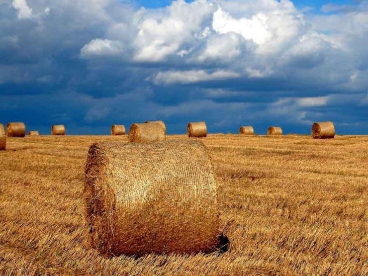Днес ще бъде предимно слънчево с временни увеличения на облачността