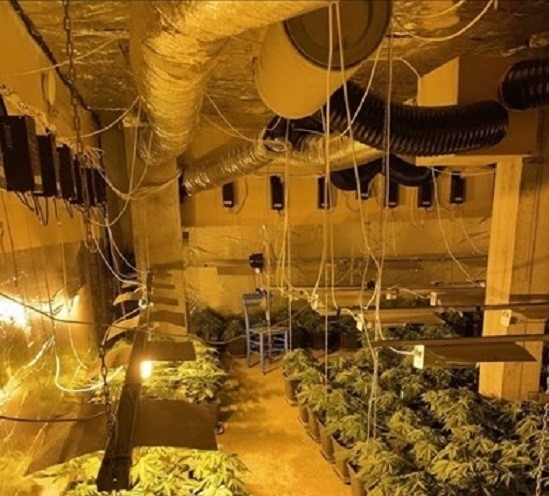 Модерна оранжерия за марихуана бе разбита при акция на столичната