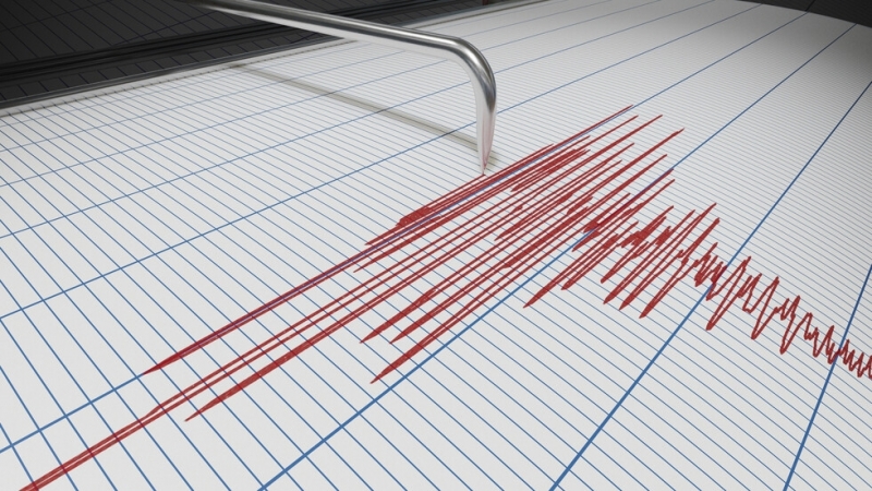 Земетресение с магнитуд от 4 3 по Рихтер е регистрирано край