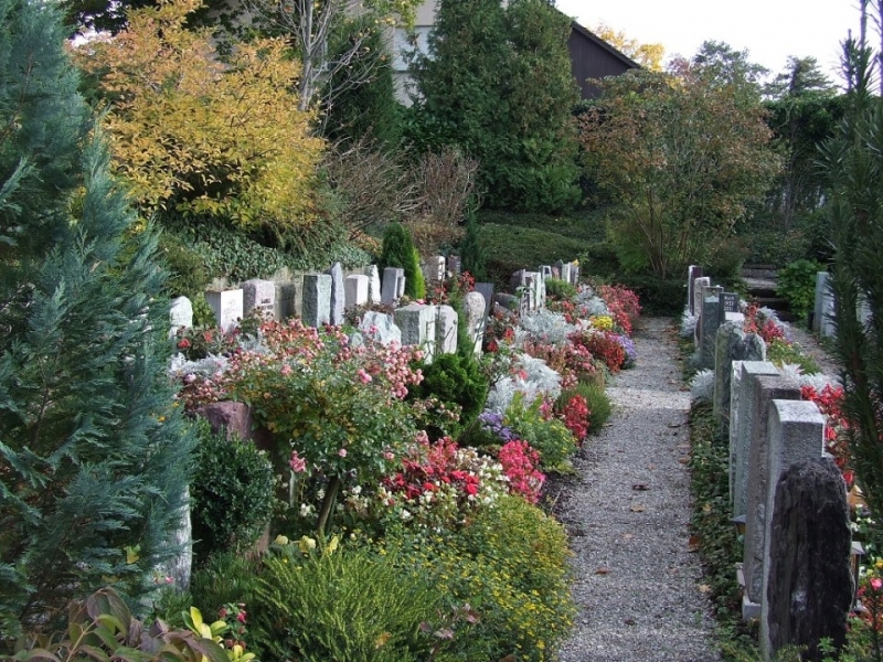 Вчера рано сутринта в полицията в Берковица е постъпил сигнал