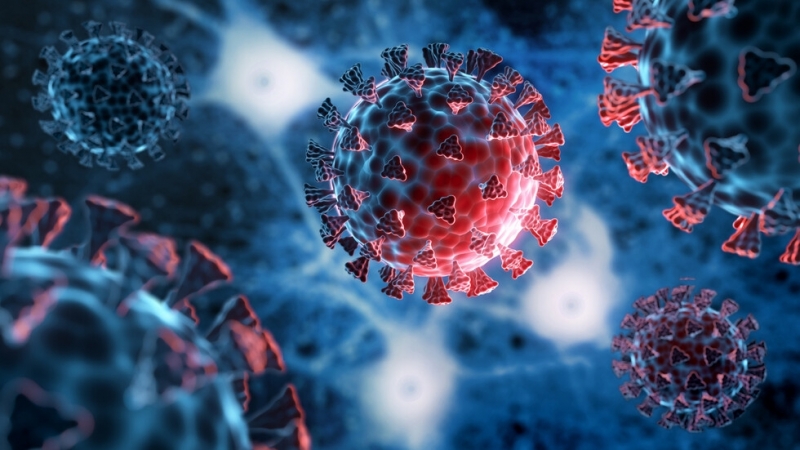 Новите потвърдени случаи на COVID 19 у нас за последното денонощие