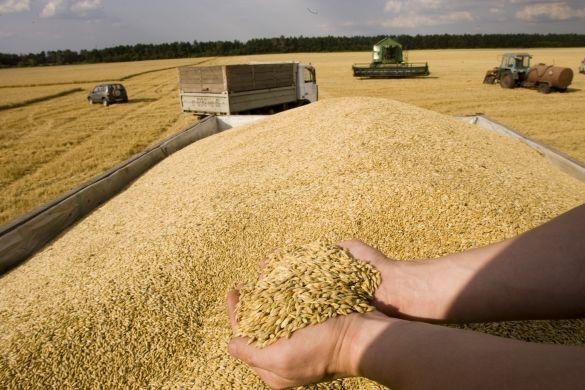 Денонощни проверки върху износа на зърнени и житни култури осъществяват