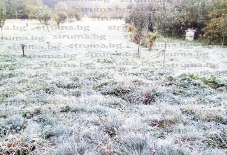 Слана е паднала миналата нощ в Трънско разказва за Струма