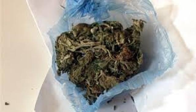 Иззеха дрога от жилище в Мездра