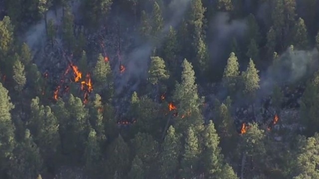 Голям горски пожар избухна в американския щат Аризона Местните власти
