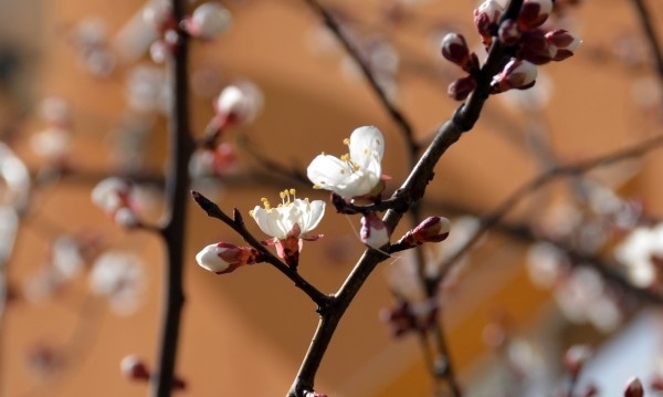 Облачността утре ще е разкъсана предимно значителна След обяд ще