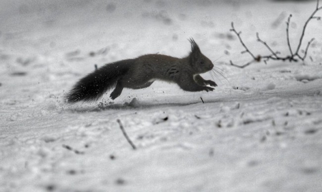 Атмосферното налягане ще се понижава задържайки се по високо от средното