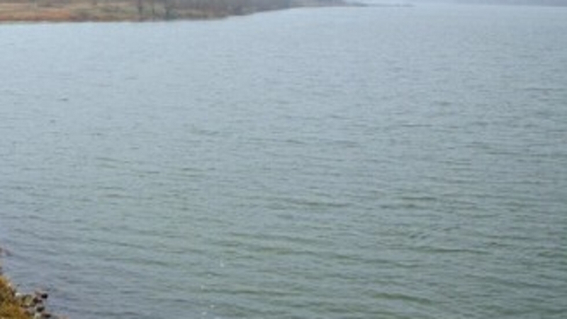 Животински трупове са намерени в напоителни канали в Сливенско В