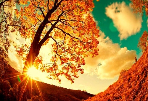 Днес ще е предимно слънчево с разкъсана висока облачност Ще